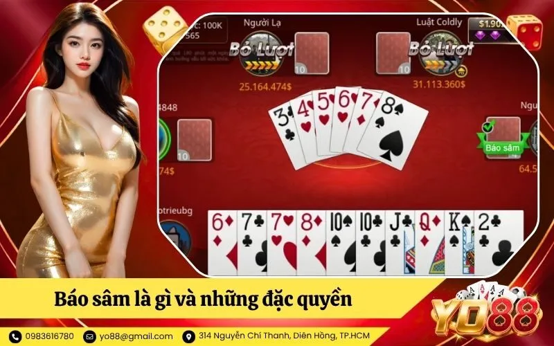 Báo sâm là gì và những đặc quyền của luật báo sâm