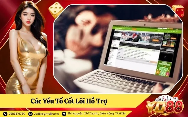 Các Yếu Tố Cốt Lõi Hỗ Trợ Cách Chọn Cửa Đặt Chuẩn Xác