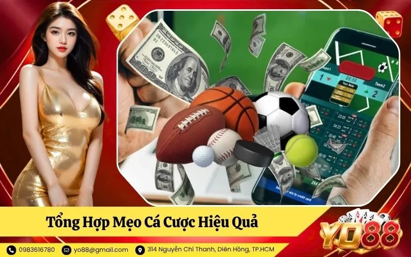 Mẹo Cá Cược