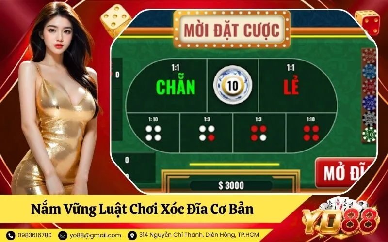 Nắm Vững Luật Chơi Xóc Đĩa Cơ Bản Trước Khi Vào Bàn