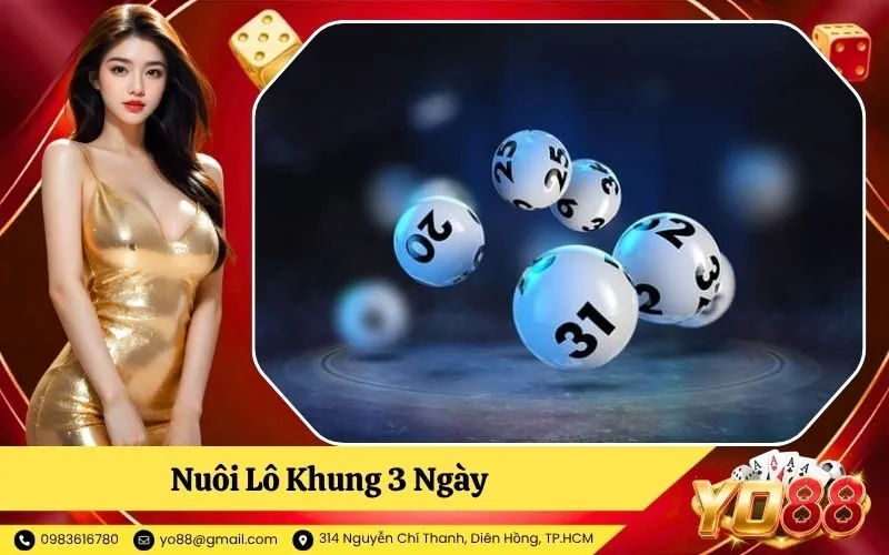 Nuôi Lô Khung 3 Ngày
