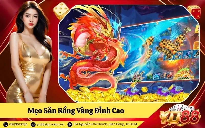 Săn Rồng Vàng