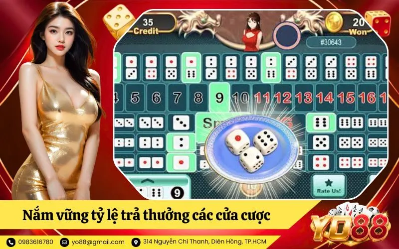 Nắm vững tỷ lệ trả thưởng các cửa cược Sicbo cơ bản